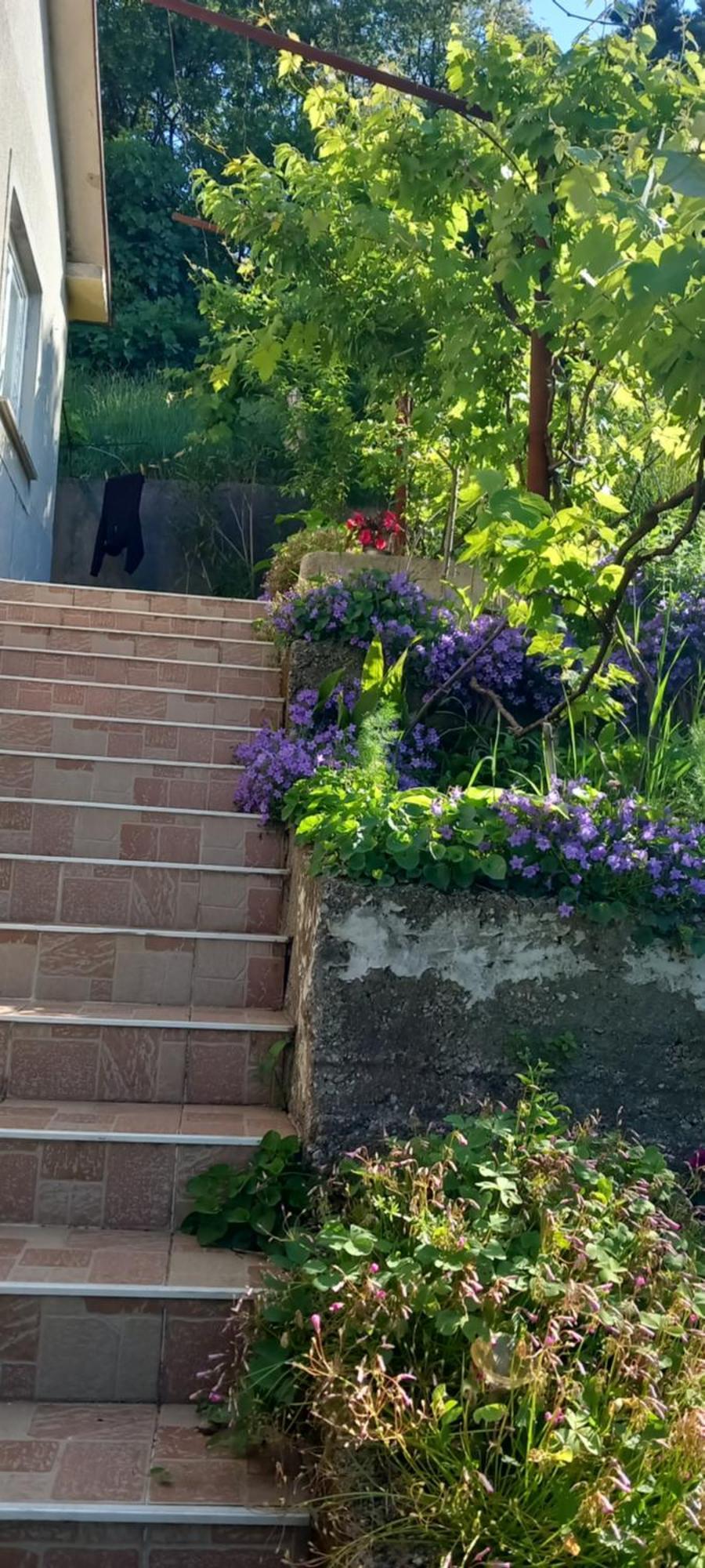 Apartman Svilno Rijeka Exterior foto